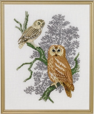 Owl / 7792733 WI