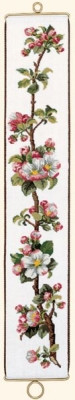 Apple Branch / 7793290 WI