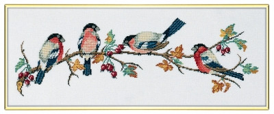 Bullfinch on a Branch / 7794091 WI