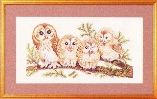 Four Charming Owls / 7794146 WI