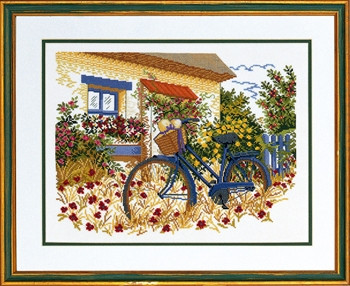 Blue Bike / 7794153 WI