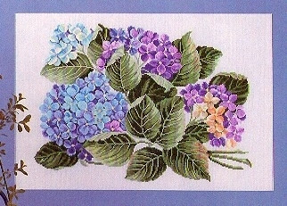 Hydrangeas / 7794259 WI