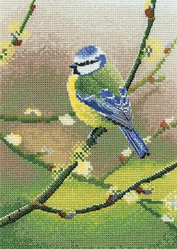Blue Tit 
 by Nigel Artingstall / HCK1564