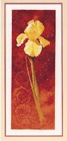 Iris by John Clayton - Connectionson / HCK599