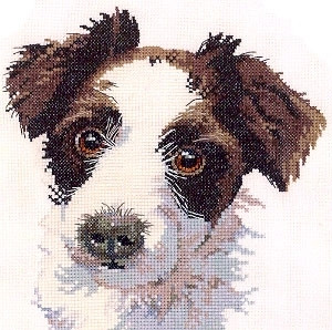 Scruff by Pauline Gledhill - Animal Portraits / HCK748