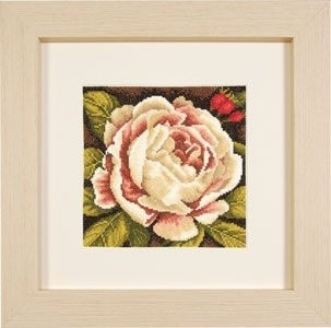 White Rose / PN144567