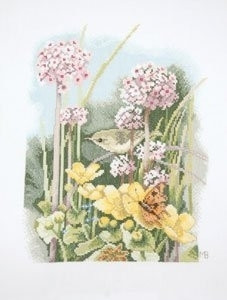 Little Bird / PN144570