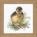 Duckling I 
 by Marjolein Bastin / PN146975