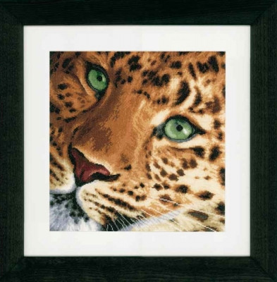 Leopard / PN154944