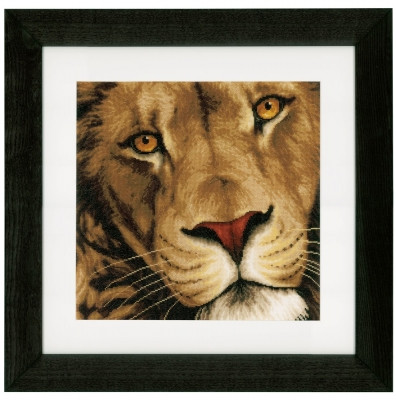 King of Animals / PN154979