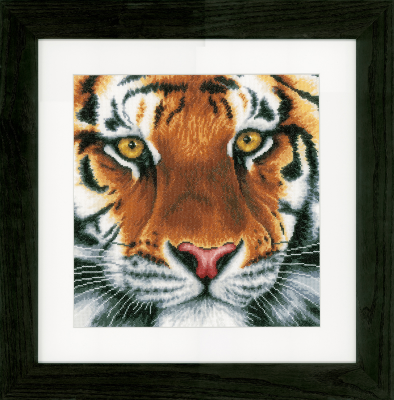 Tiger / PN156104