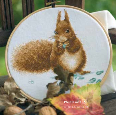 Squirrel / PN175673