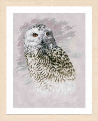 Snowy Owl / PN183826