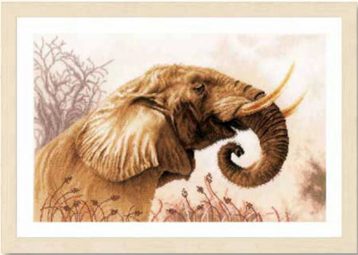 An Elephant Call / PN194787