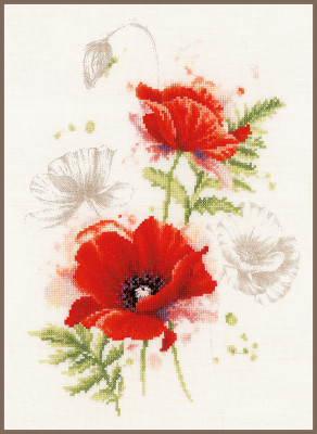 Poppies / PN196178