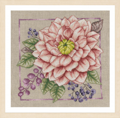 Blooming Blush / PN199794