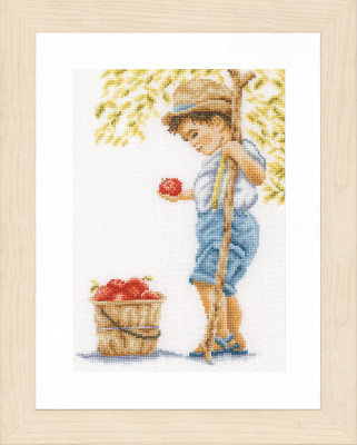 Boy With Apples / PN200794