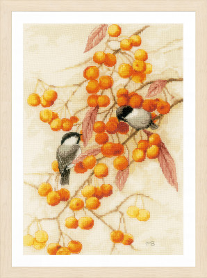 Little Orange Feast / PN201746