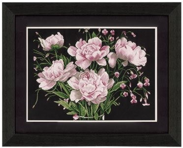 Helleborus Pink Roses / PN21224