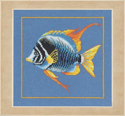 Fire Zebra Fish / PN215375