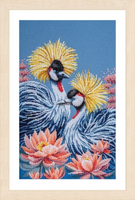 Black Crowned Cranes / PN216165