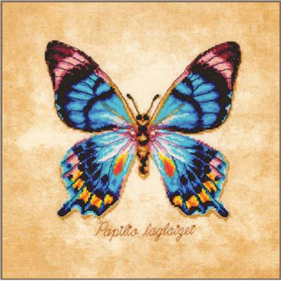 Papilio laglaizei / PN222193