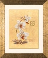 Three Orchids / PN8008