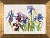 Blue Flowers Iris / PN8027