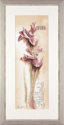 Iris - Botanical / PN8049