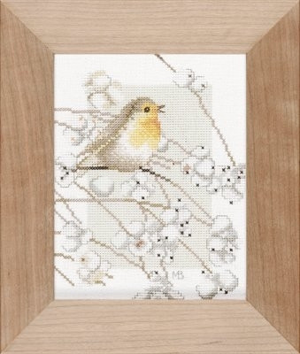 Robin 
 by Marjolein Bastin / PN8056