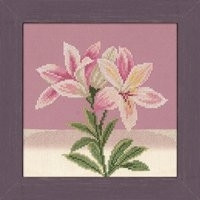 Pink White Lily / PN8150