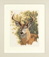 Red Deer / PN8275