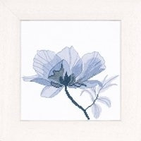 Poppy II / PN8317