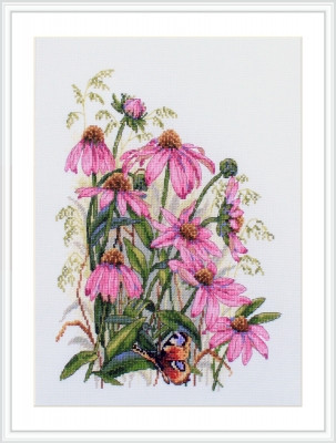 Coneflowers / MK124