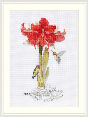Amaryllis / MK202