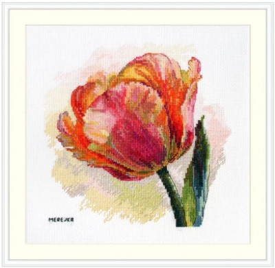Parrot Tulip / MK248