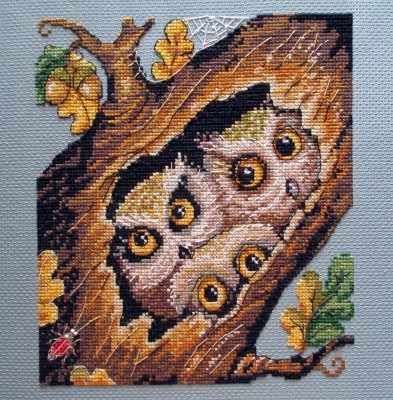 Owls / MK32