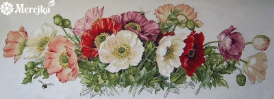 Poppies A / MK33A