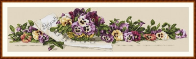 Pansy Waltz / MK41