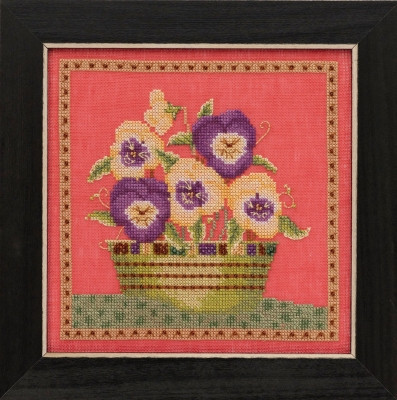 Pansies - Blooms & Blossoms / DM301911