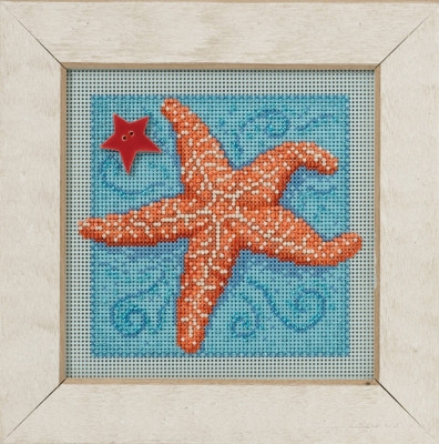 Starfish (2016) / MH141615