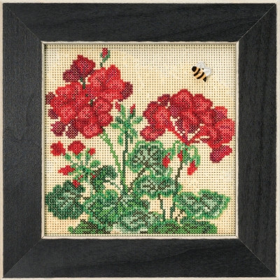 Geranium (2018) / MH141816
