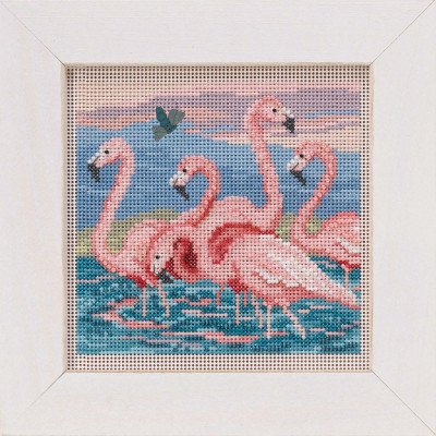 Flamingos (2019) / MH141916