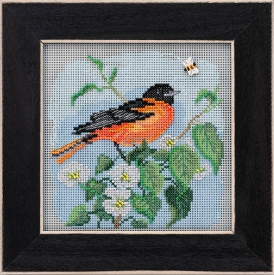 Baltimore Oriole (2020) / MH142012
