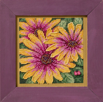 African Daisies (2025) / MH142521