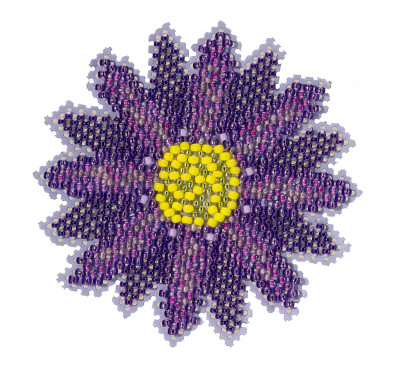 Purple Flower (2022) / MH212212