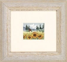 Sunflower Field / 132353 WI