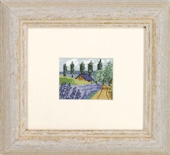 Lavender Field / 132354 WI