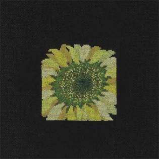 Sunflower / 133363 WI