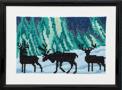 Reindeer in Northern Lights / 135398 WI